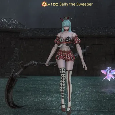 Sally the Sweeper